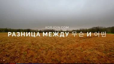 Разница между 무슨 и 어떤